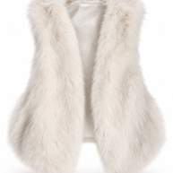 Il gilet della domenica